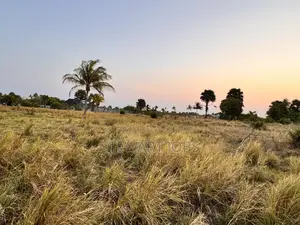 Beach Plot for Sale - Kimbiji