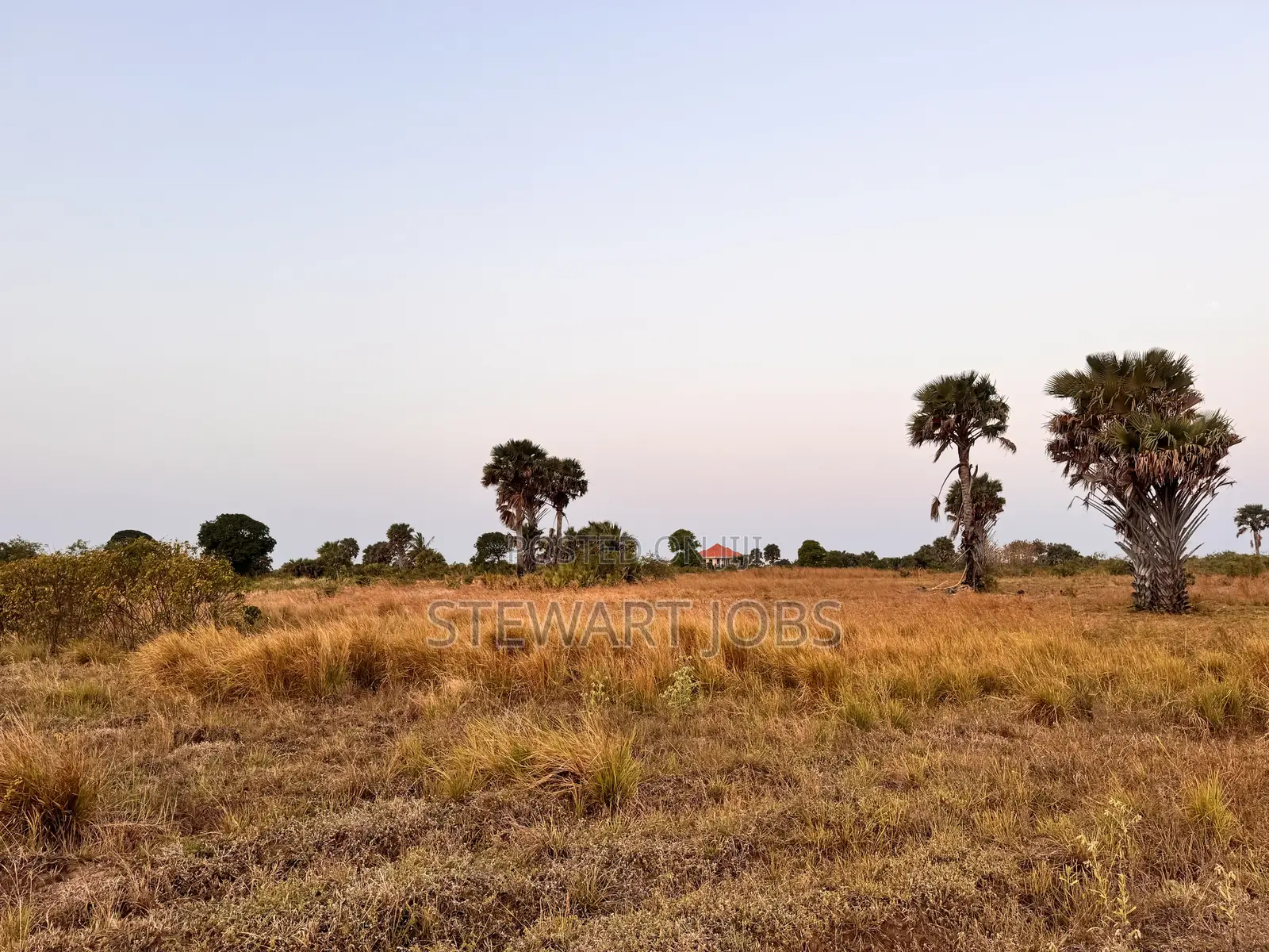 Beach Plot for Sale - Kimbiji
