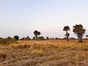 Beach Plot for Sale - Kimbiji