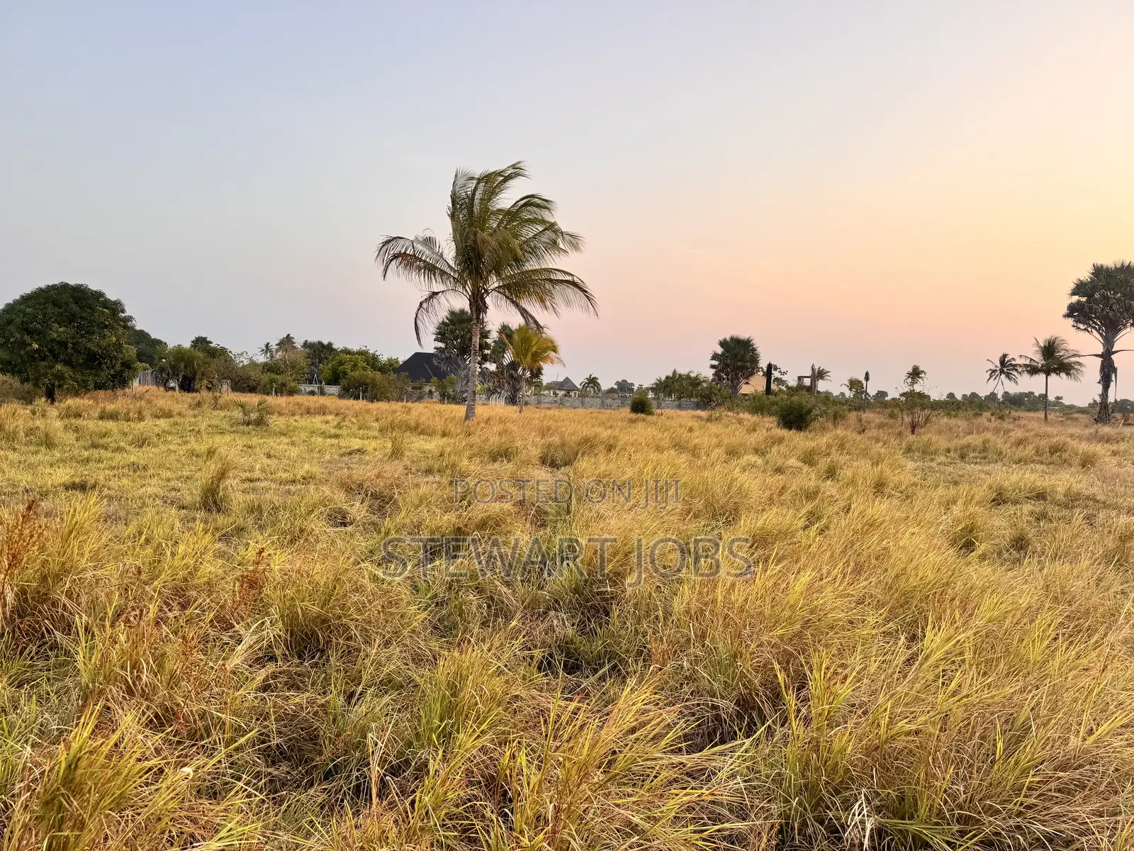 Beach Plot for Sale - Kimbiji
