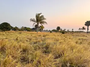 Beach Plot for Sale - Kimbiji