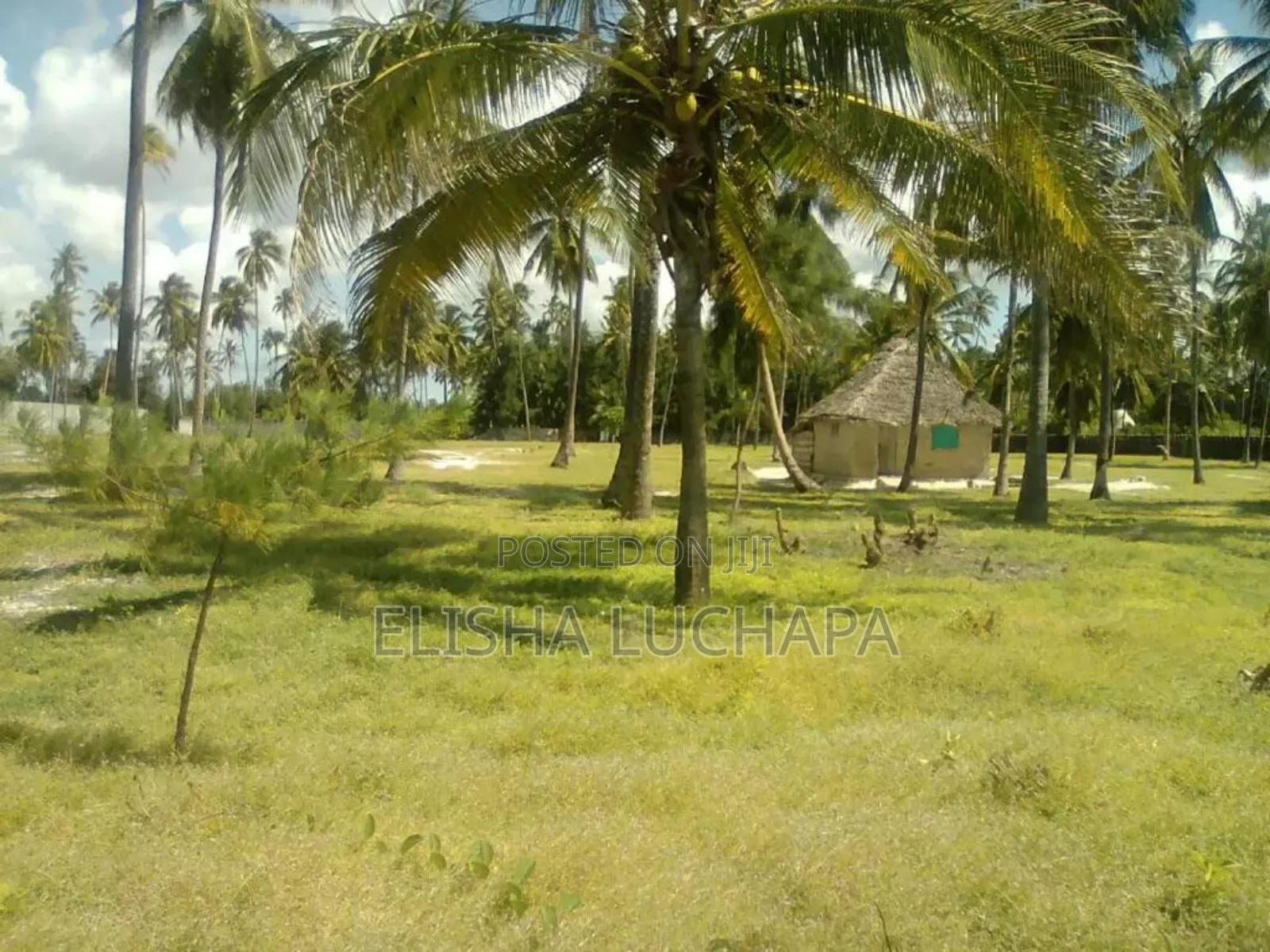 20 Acres Beach Plot for Sale at Kilwa