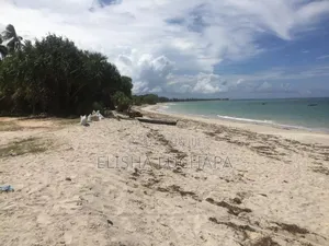 20 Acres Beach Plot for Sale at Kilwa