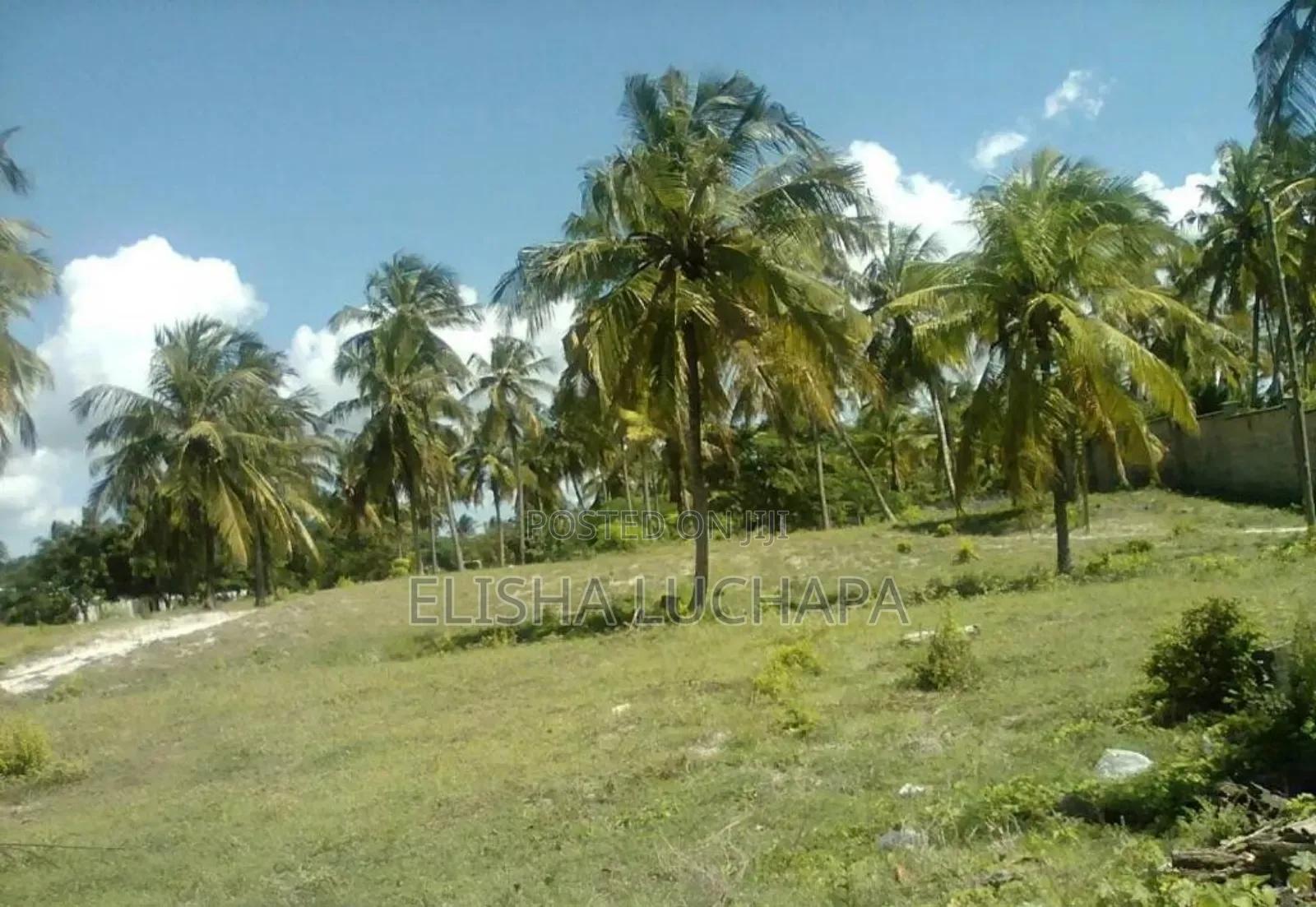 20 Acres Beach Plot for Sale at Kilwa
