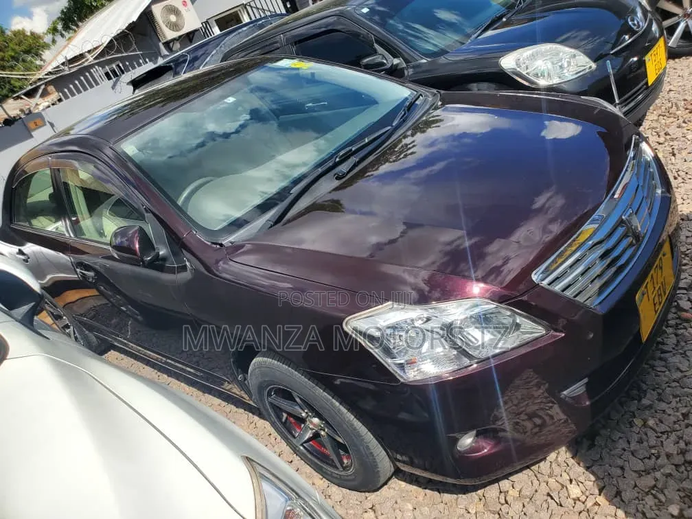 Toyota Premio 2009 Maroon
