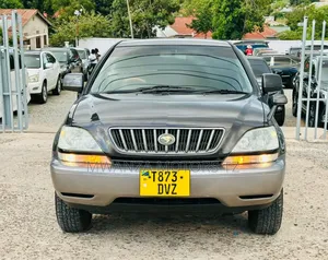 Toyota Harrier 2004 Gray