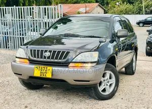 Toyota Harrier 2004 Gray