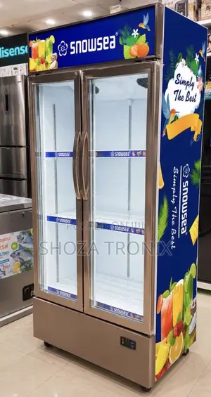 Snow Sea Showcase Double Door L650(Sn683s)