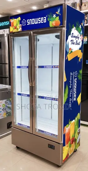 Snow Sea Showcase Double Door L650(Sn683s)