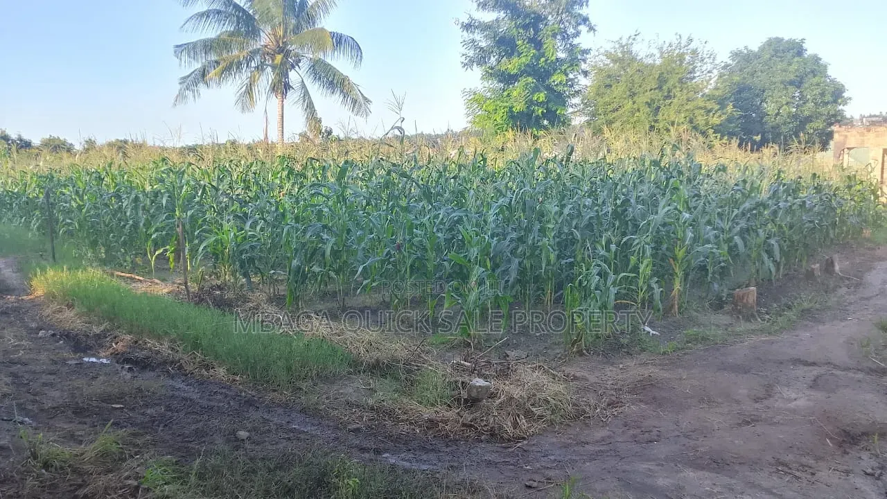 Plot Area Sqm 800 For Sale At Madale Msumi