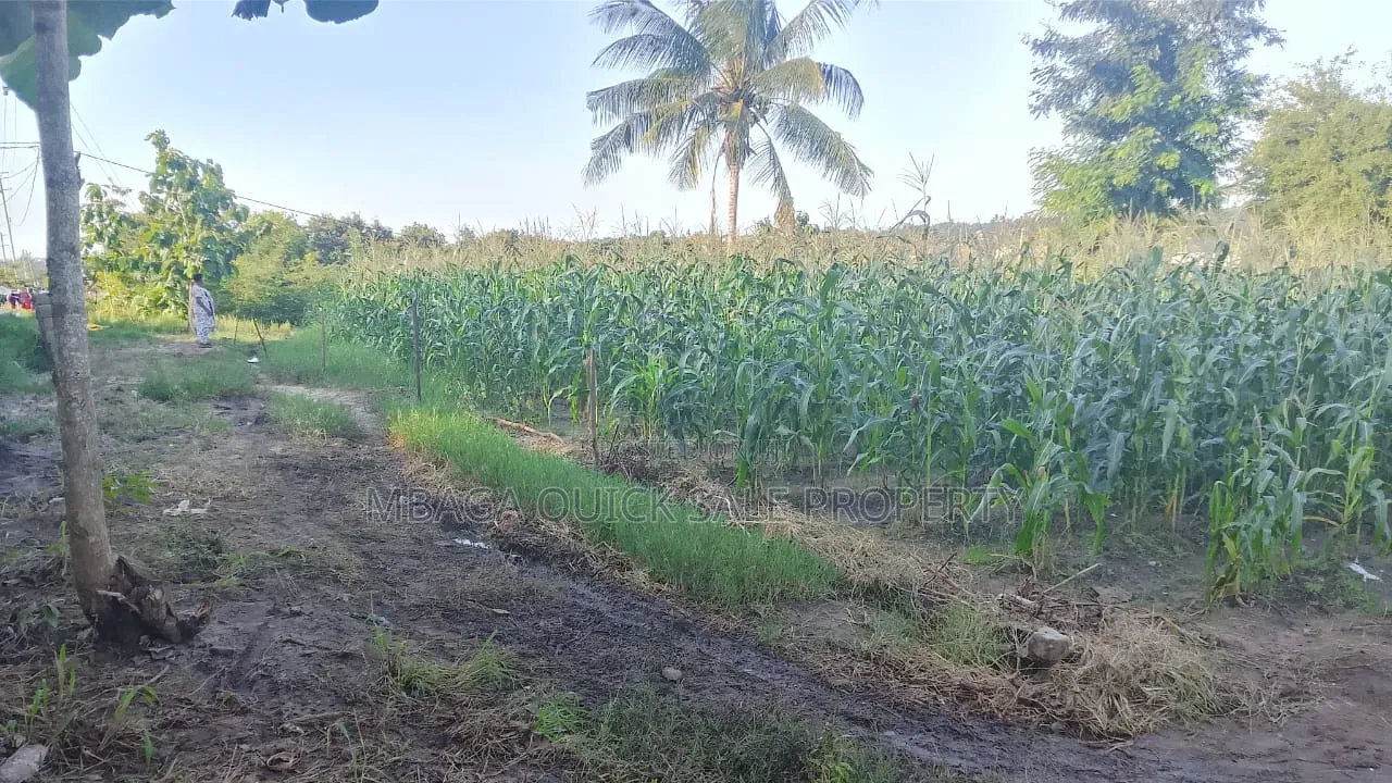 Plot Area Sqm 800 For Sale At Madale Msumi
