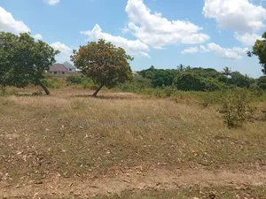 Beach Plot With 4 Acres for Sale at Kigamboni Mwasonga