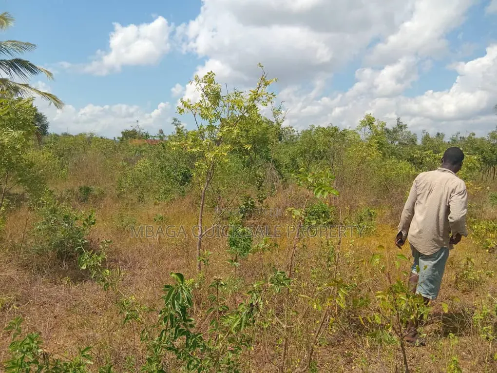 Beach Plot With 4 Acres for Sale at Kigamboni Mwasonga