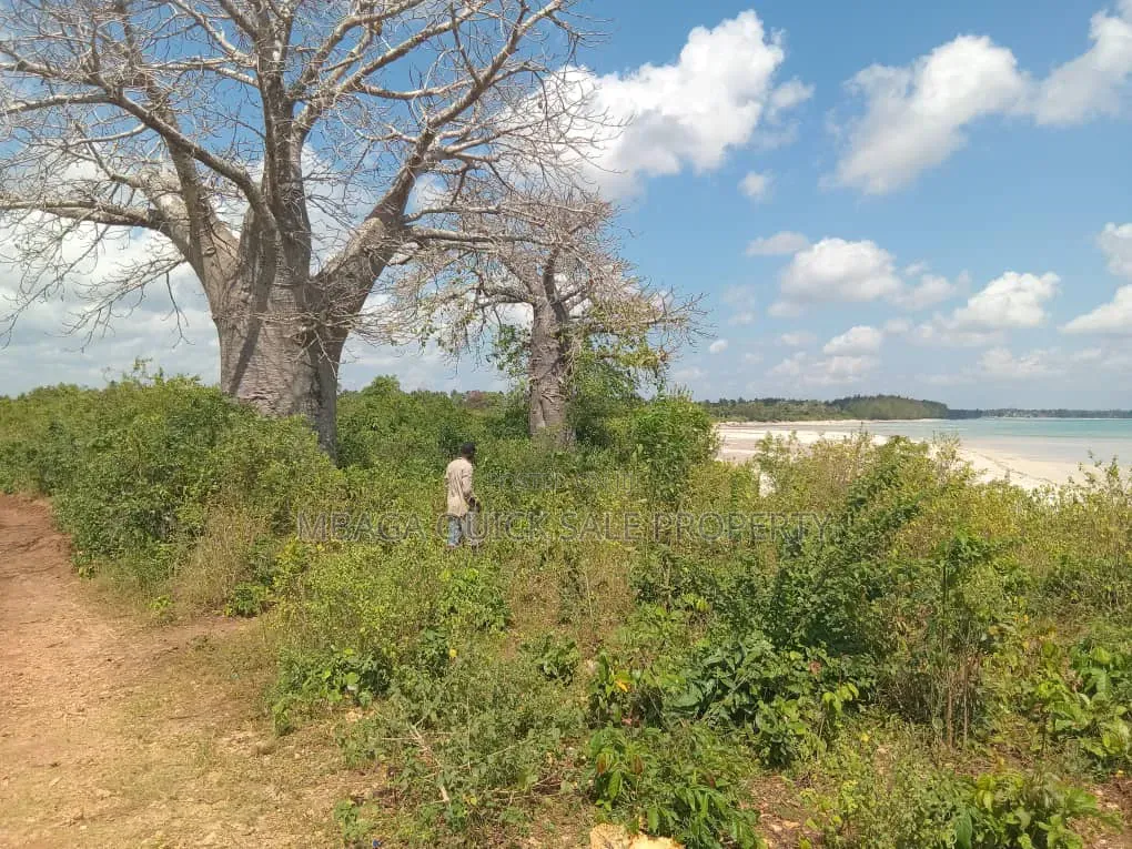 Beach Plot With 4 Acres for Sale at Kigamboni Mwasonga