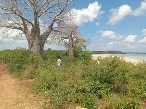 Beach Plot With 4 Acres for Sale at Kigamboni Mwasonga