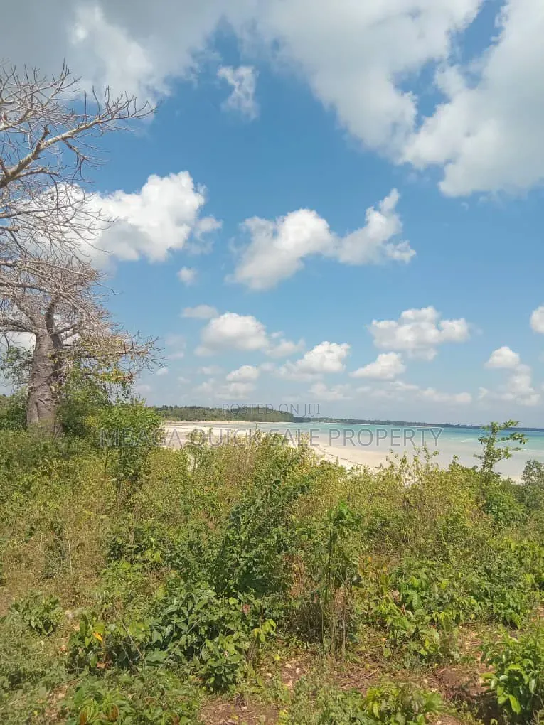 Beach Plot With 4 Acres for Sale at Kigamboni Mwasonga