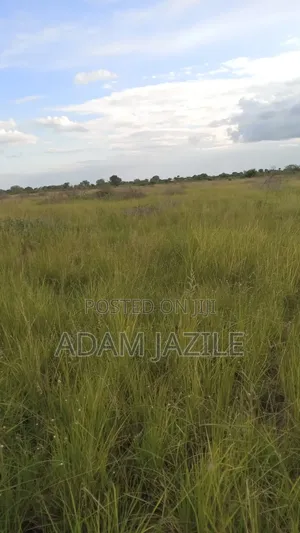 Shamba La Ekari 25 Linauzwa Bagamoyo Makurunge