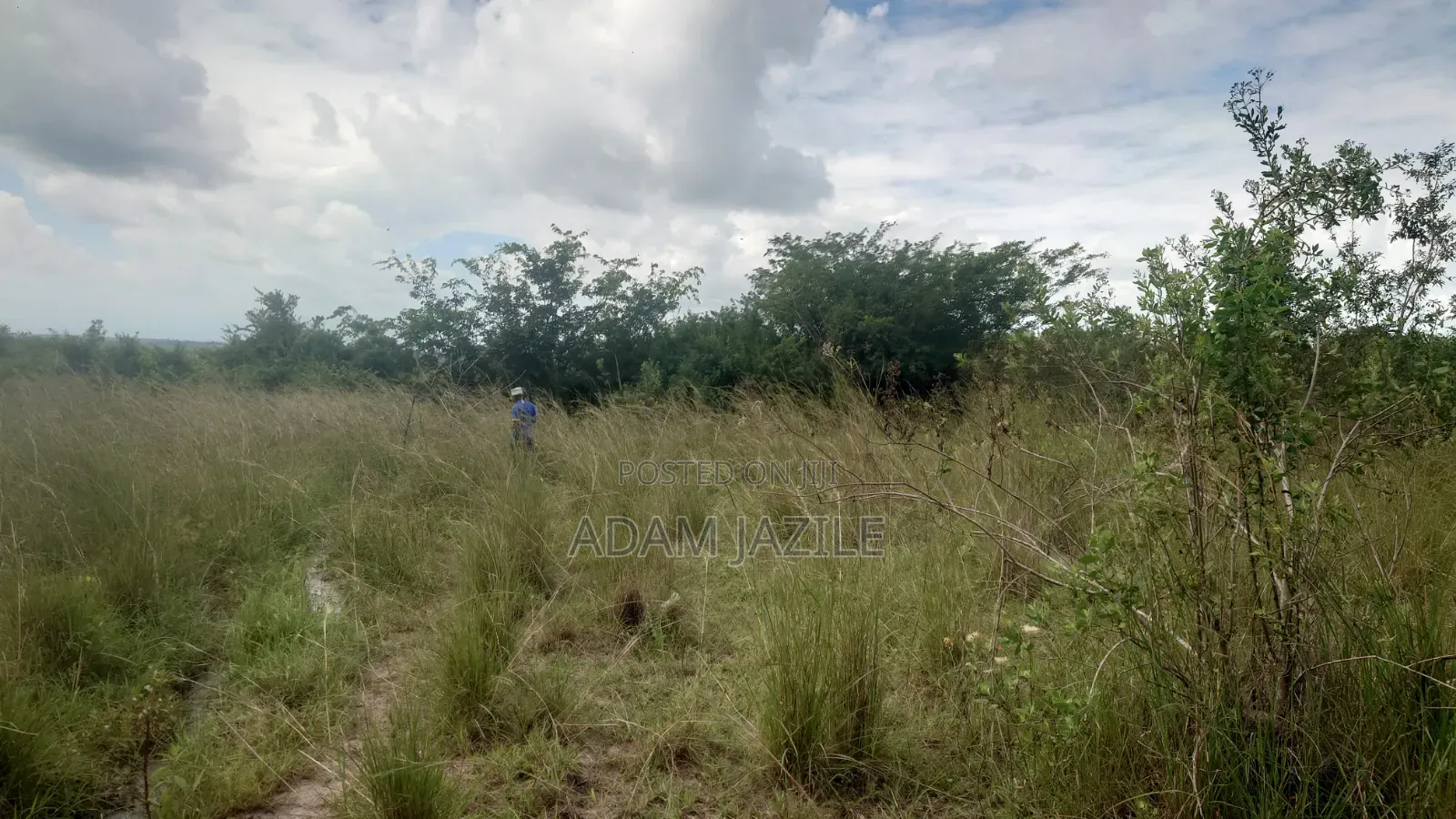 Shamba La Ekari 25 Linauzwa Bagamoyo Makurunge