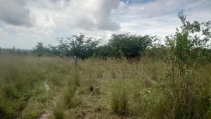 Shamba La Ekari 25 Linauzwa Bagamoyo Makurunge