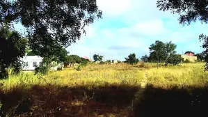 Msalato-airport Viwanja Vinauzwa Bei Nafuu
