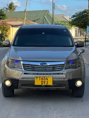 Subaru Forester 2009 Silver