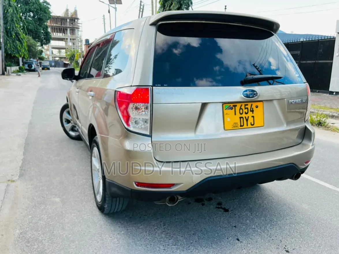 Subaru Forester 2009 Silver