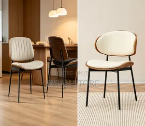Modern Dinning Chair