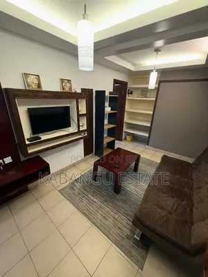 Furnished 1bdrm Apartment in Upanga for rent