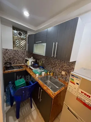 Furnished 1bdrm Apartment in Upanga for rent