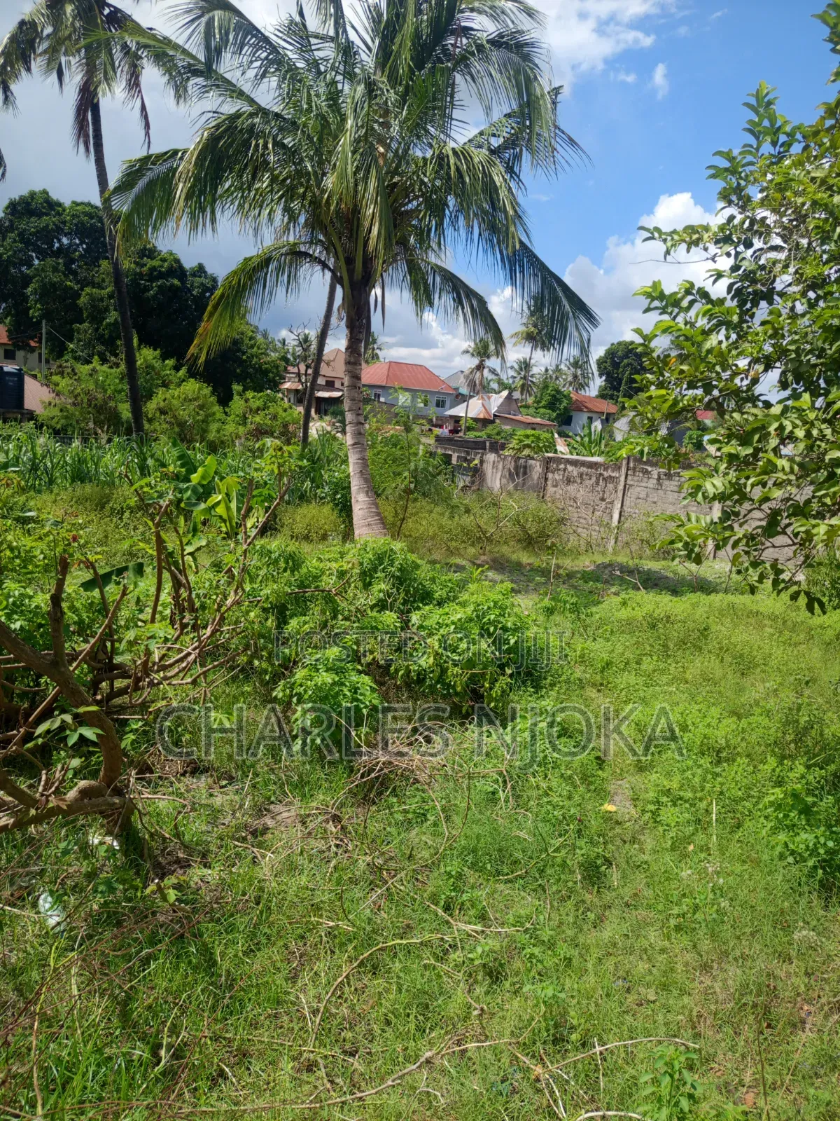 Land for Sale