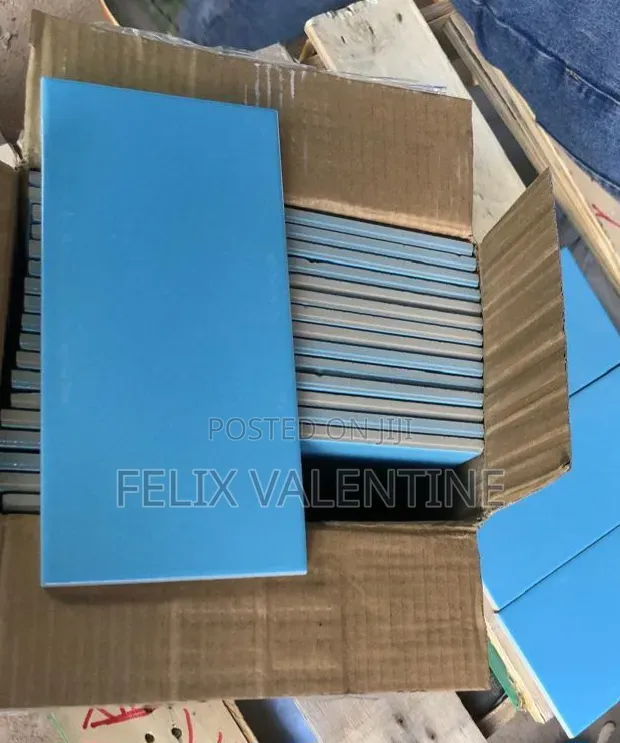 Swimming Pool Accessories (Tiles Za Swimming Pool)