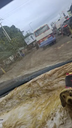 Investment Area at Mikocheni B Main Road