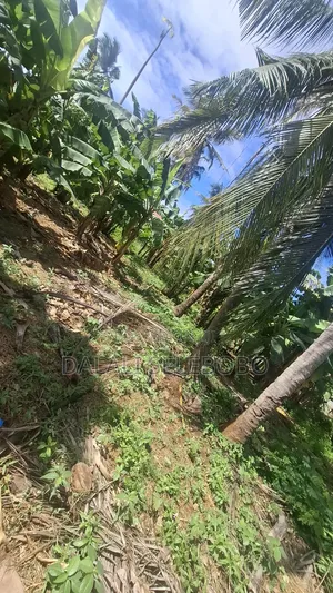 Industry Plot at Salasala Iptl