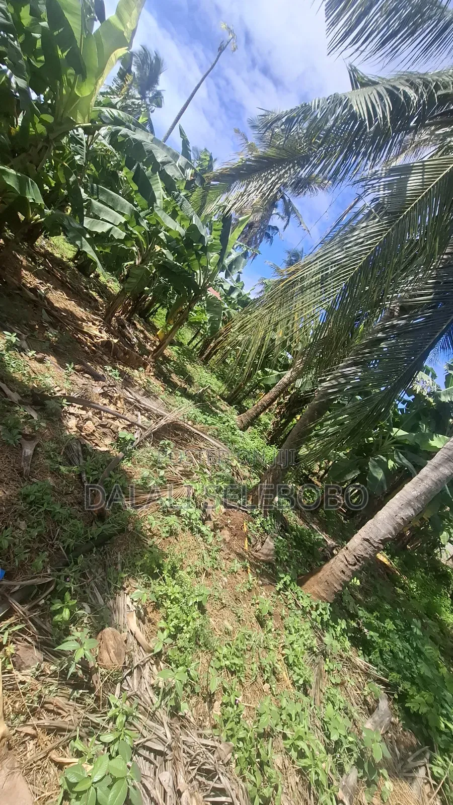 Industry Plot at Salasala Iptl