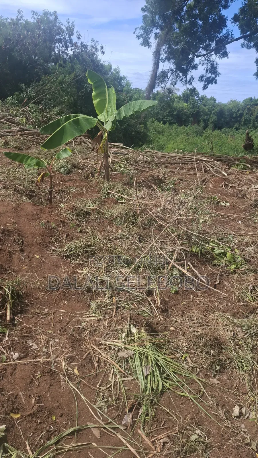 Industry Plot at Salasala Iptl