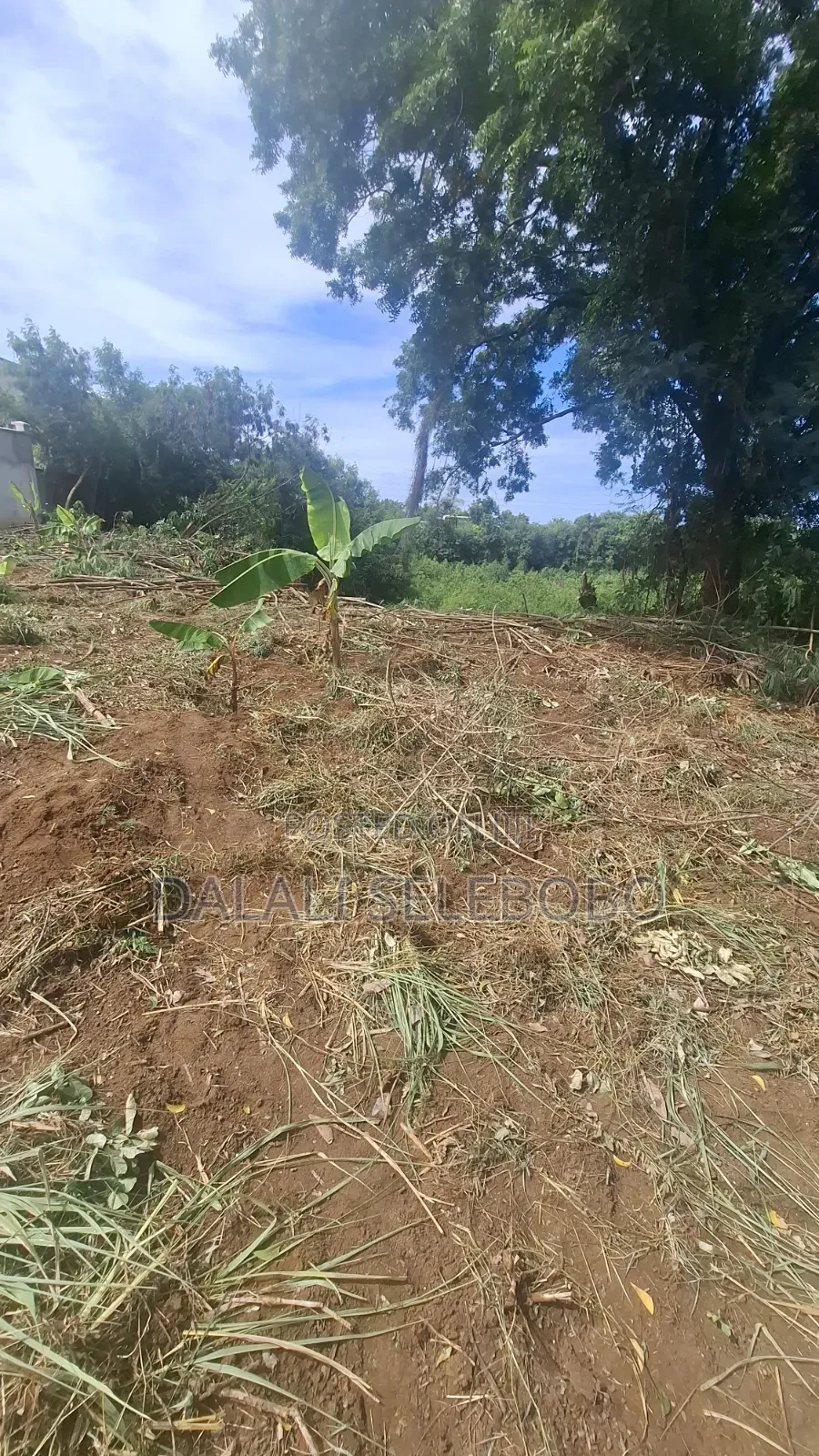 Industry Plot at Salasala Iptl