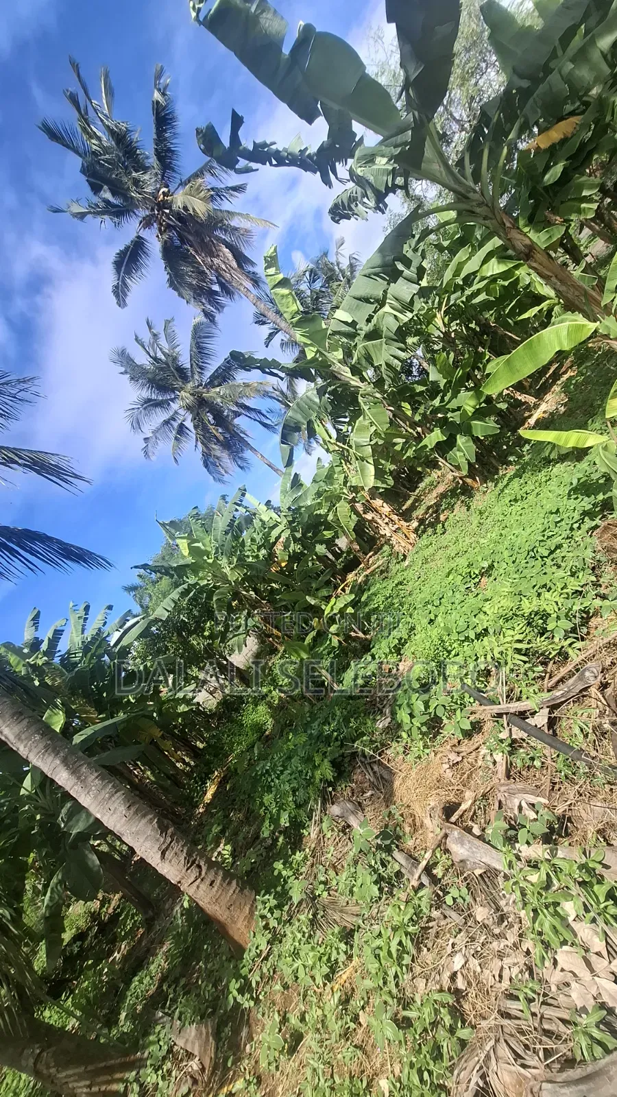 Industry Plot at Salasala Iptl