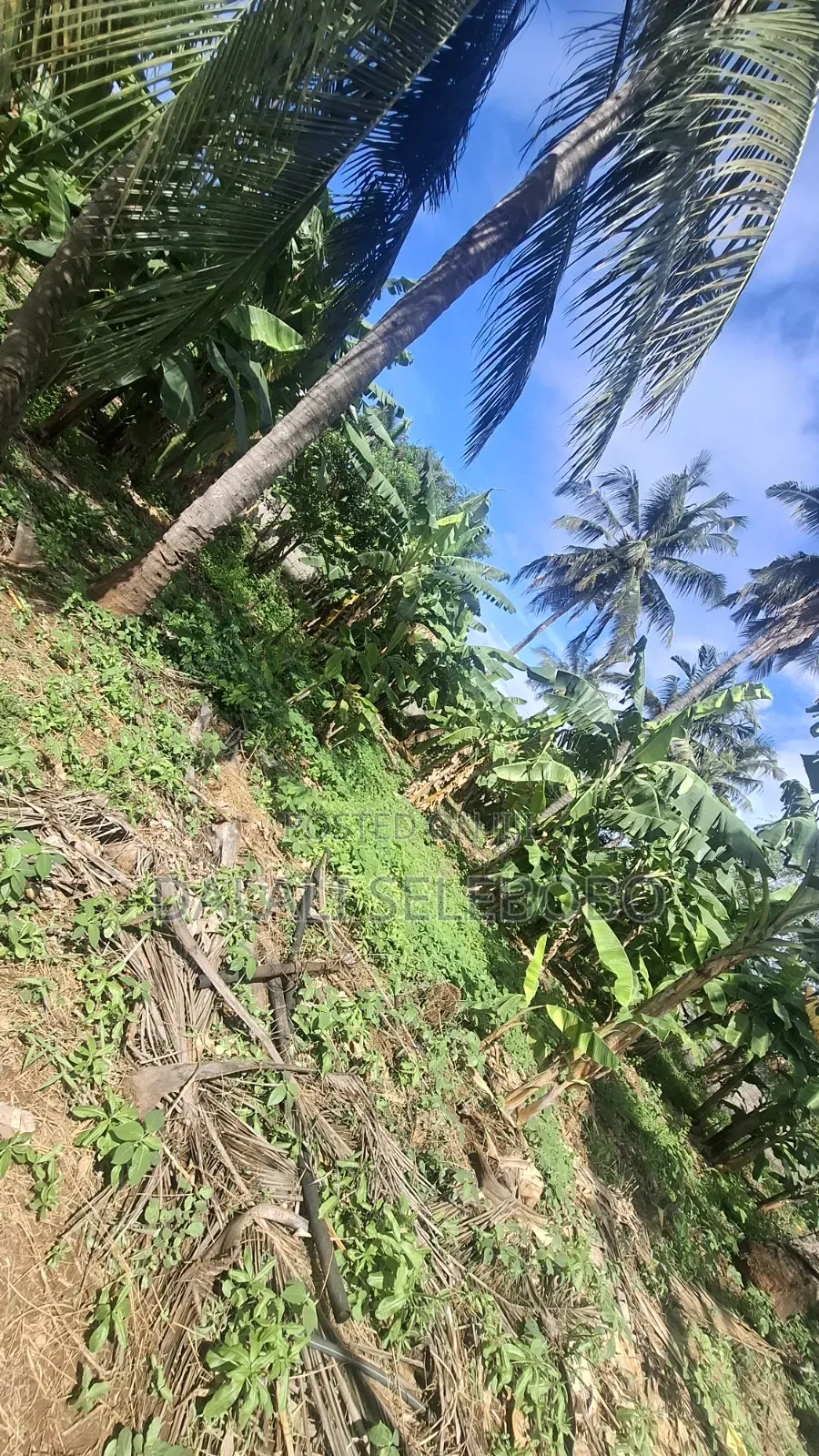 Industry Plot at Salasala Iptl