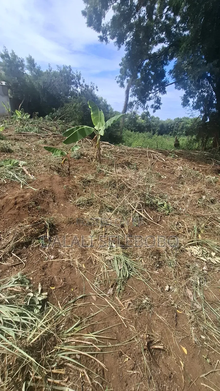 Industry Plot at Salasala Iptl