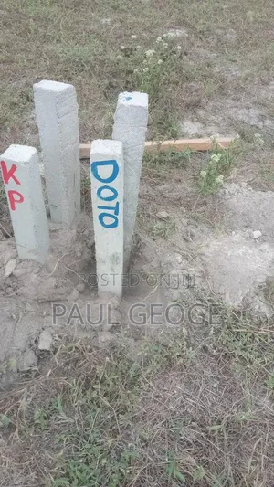 Paul George