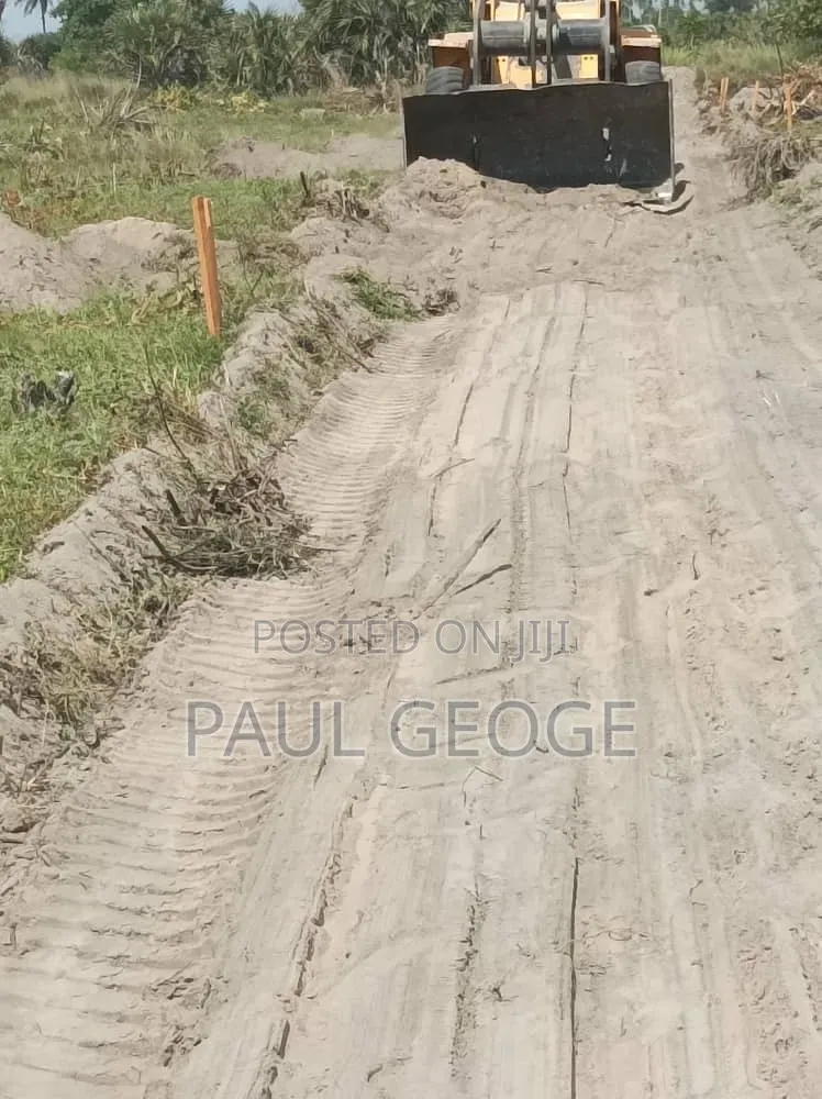 Paul George