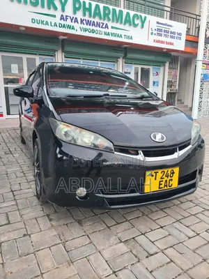 Toyota Wish 2009 Black