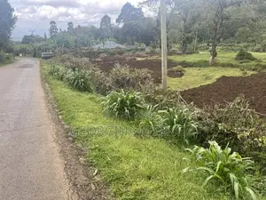 Land for Tourism Business