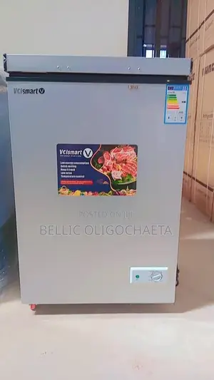 Volsmart Freezer 110l