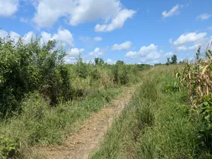 Shamba Bagamoyo Pwani