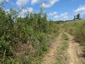 Shamba Bagamoyo Pwani