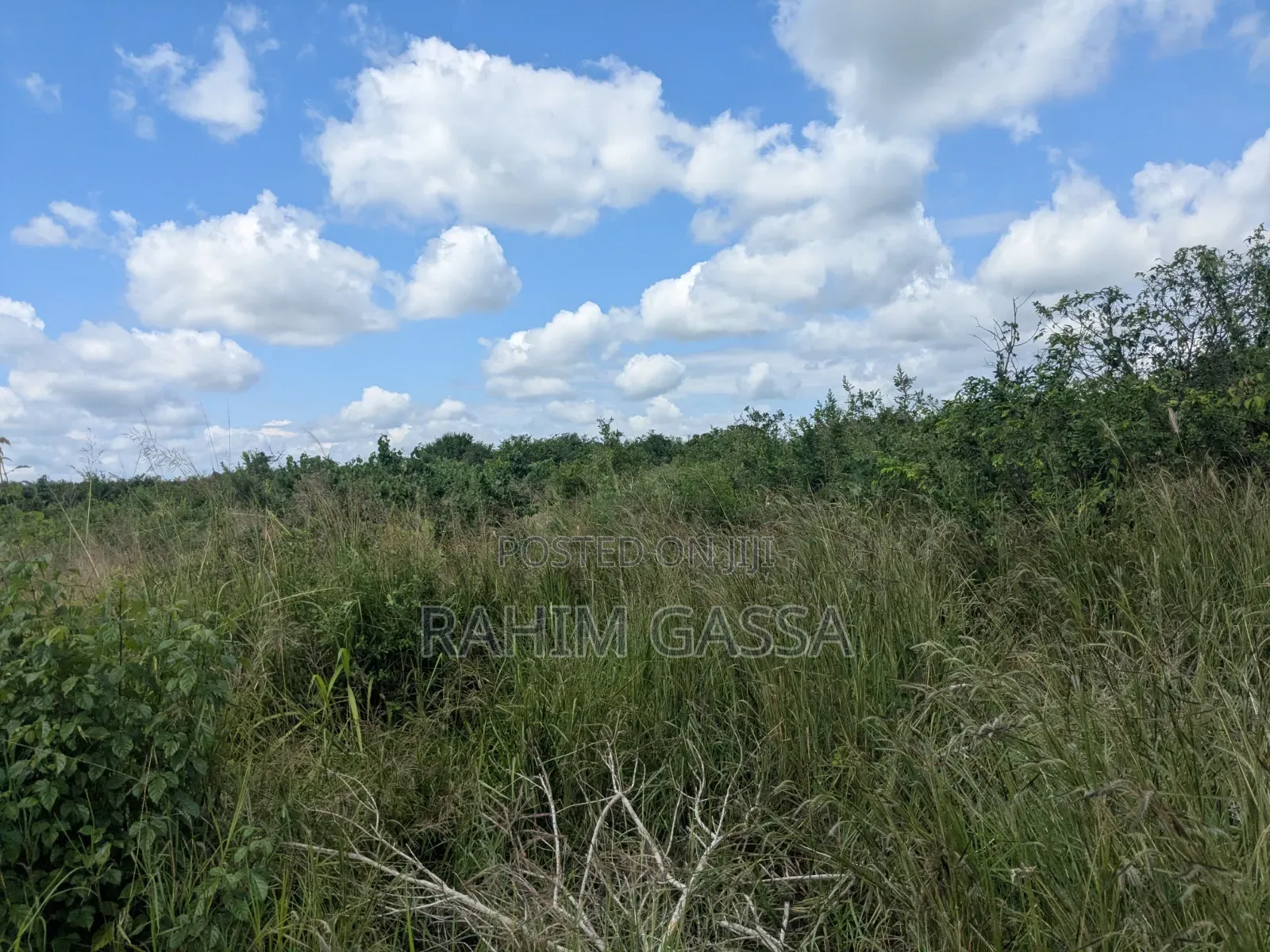Shamba Bagamoyo Pwani