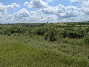 Shamba Bagamoyo Pwani
