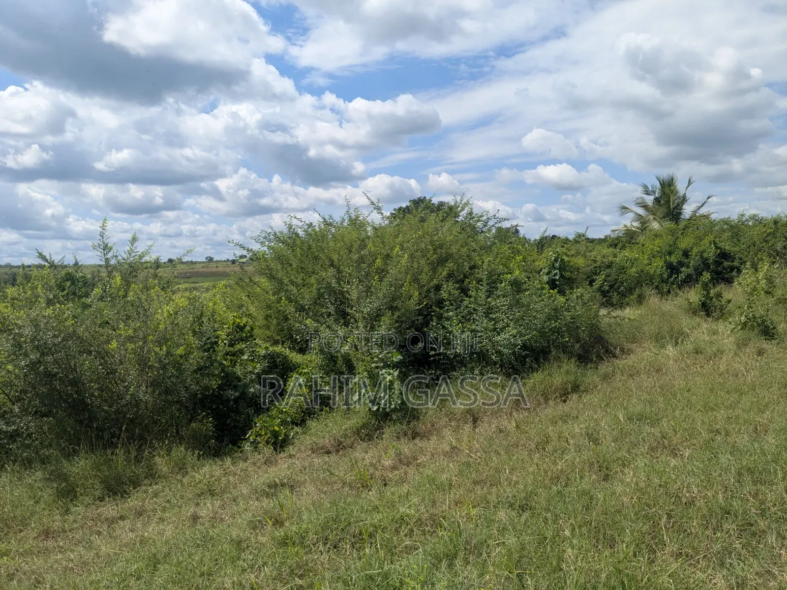Shamba Linauzwa Chalinze