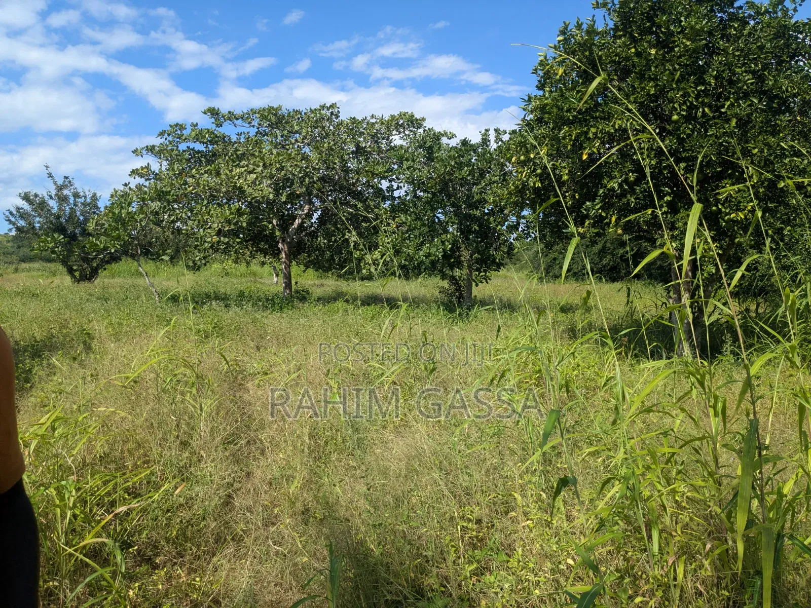 Shamba Bagamoyo Pwani